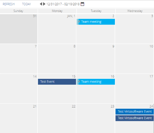 Weekly calendar view showing team meetings and test events scheduled across multiple days in January.