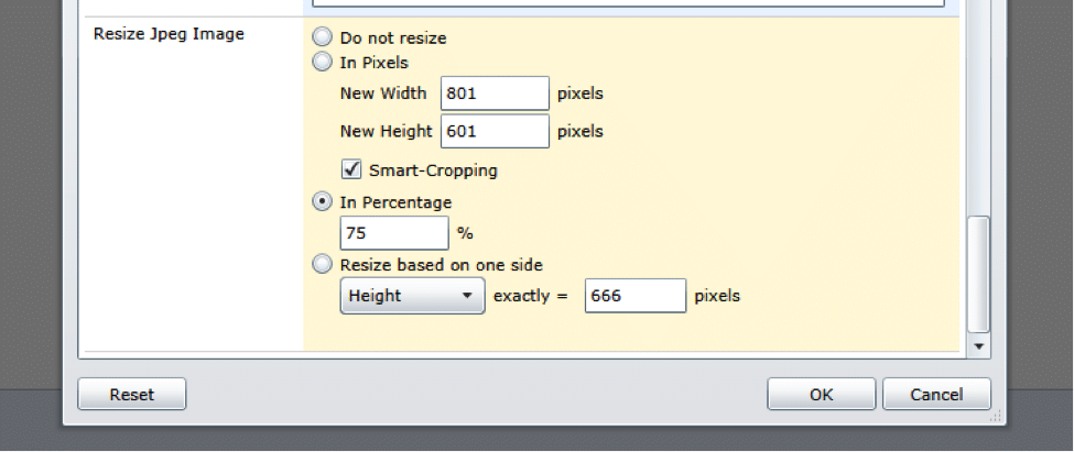 Jpeg image resize dialog with pixel and percentage options