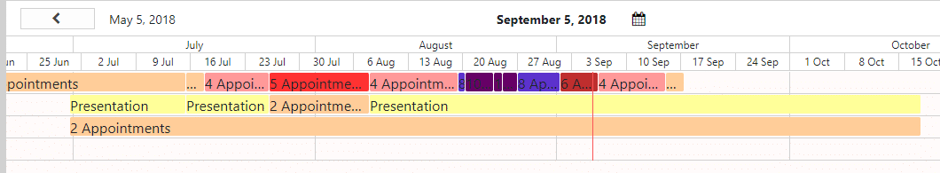 Calendar view showing appointments and presentations scheduled from June through October 2018.