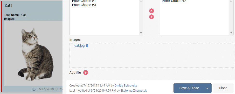 image preview on task