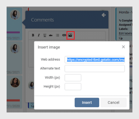 Insert image dialog box with web address field and Insert/Cancel buttons