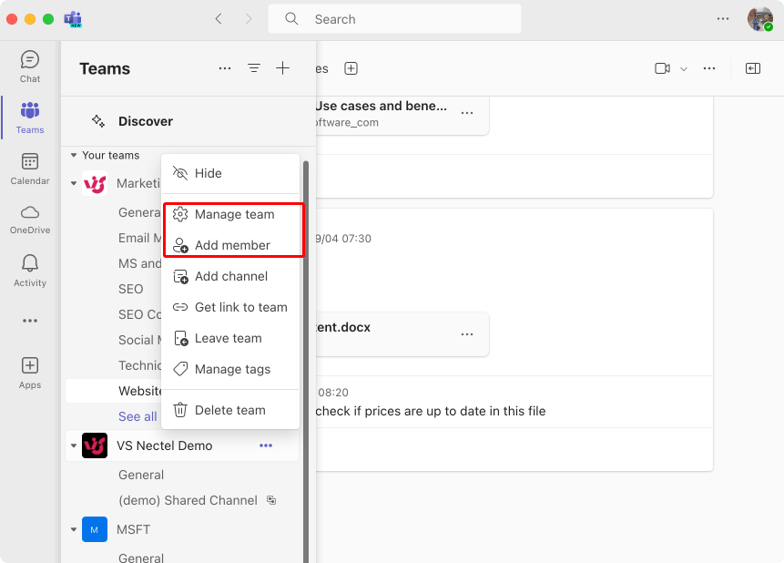 Adding a member via “Manage team” or “Add member”.